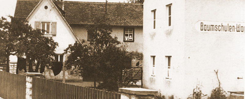 Baumschule Wagner Poxdorf – Aus Tradition der Qualität verpflichtet.